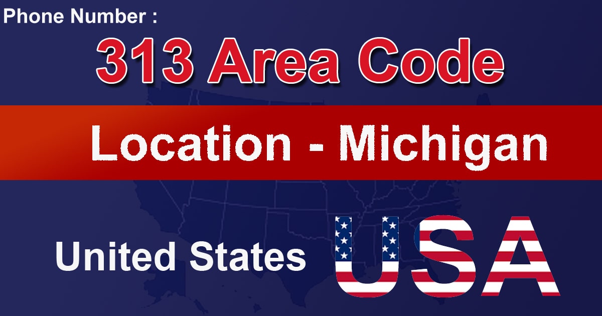 313 Area Code 313 Area Code